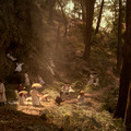 ピクニック at ハンギング・ロック 4Kレストア版 6枚目の写真・画像